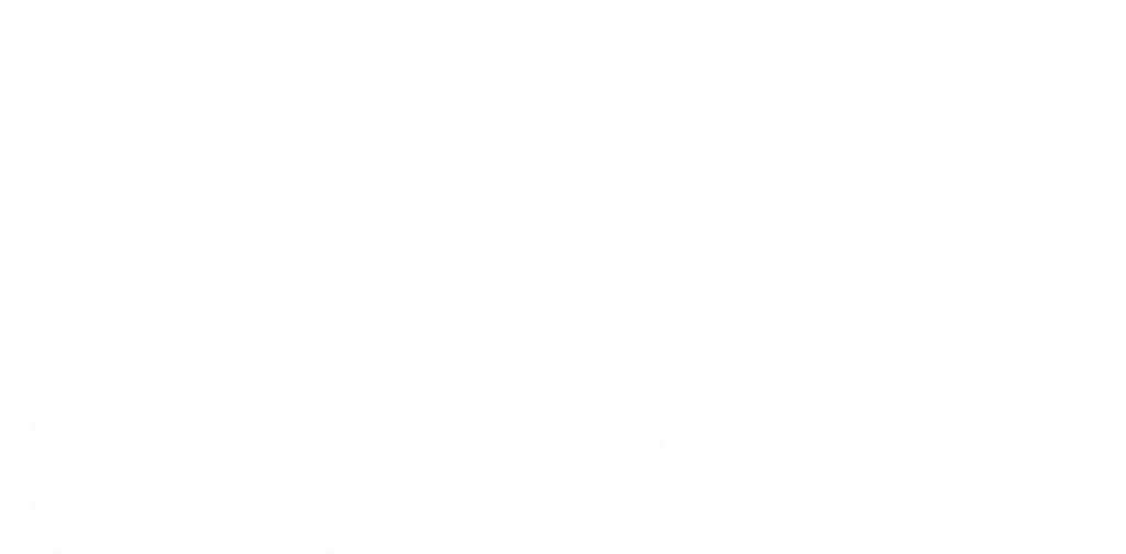 Studio d'enregistrement rennes logo le canyon logo du studio d'enregistrement à Rennes